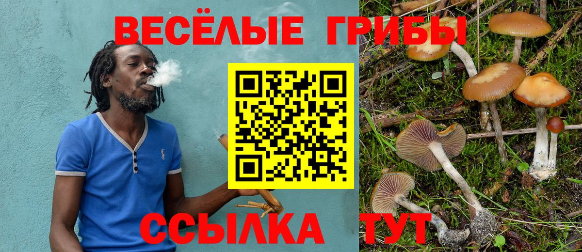 Галлюциногенные грибы GOLDEN TEACHER Ефремов