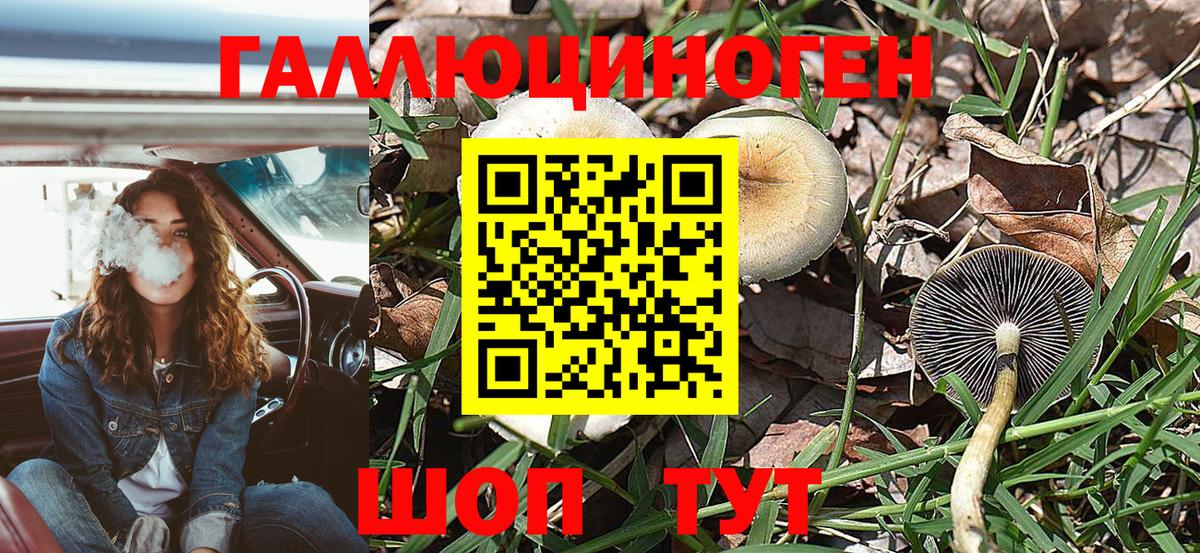 Галлюциногенные грибы мухоморы Ефремов