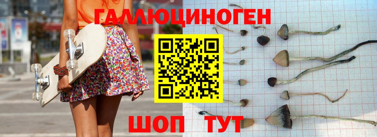 Галлюциногенные грибы Psilocybine cubensis  Вход с VPN  Ефремов 