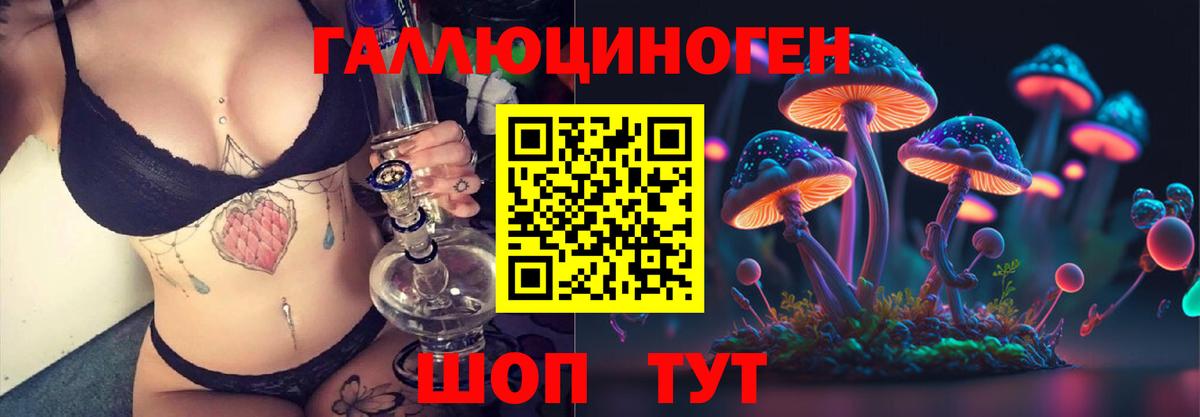 Галлюциногенные грибы Psilocybe  Ефремов  Галлюциногенные грибы Cubensis 